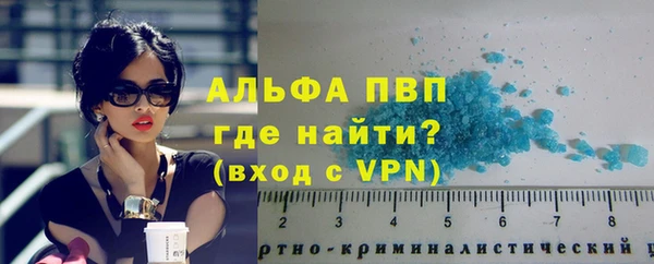 стаф Арсеньев