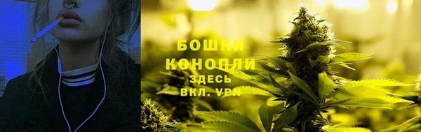 стаф Арсеньев