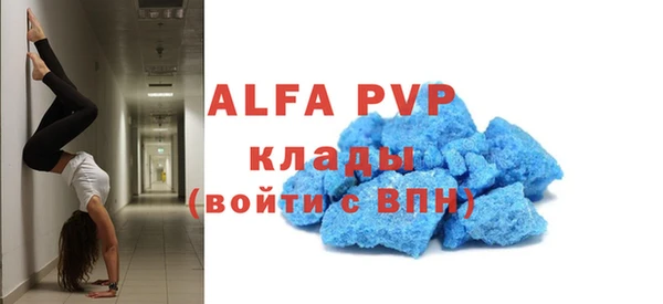 стаф Арсеньев