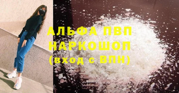 стаф Арсеньев